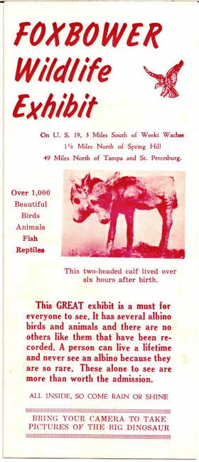 Foxbower brochure